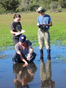 York students Patty McMurray, Andrew Fitzgerald and Todd Brockelman (left to right) gather water quality data in a freshwater channel of the Pantanal.