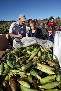 Dale Flewelling of the Friends of Aroostook initiative, goes over some of the ears of corn collected by Houlton Elementary students Tabria Flewelling and Launa Jay.