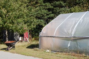 Students help clean and maintain Brooklin's two greenhouses during the winter.