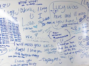 A white board with goodbye messages written in blue that saying things like "I love you Kaz!" and "we'll miss you Kaz!"