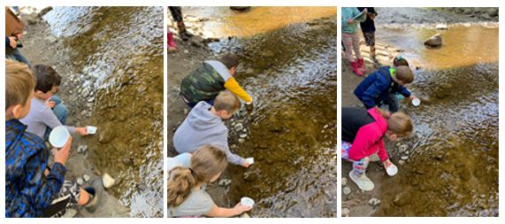 Belgrade Central Students