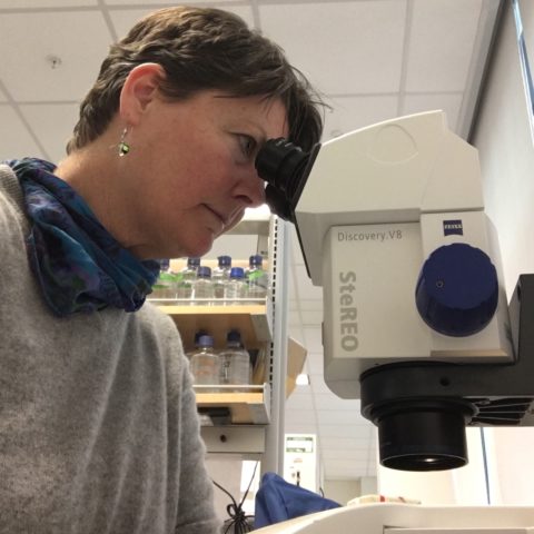 Medomak Valley High School Art Teacher Receives Educator Innovation&nbsp;Award