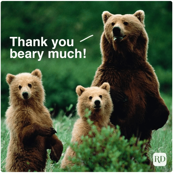 WEBINAR: Adult Education EF-M-39 Data Report –&nbsp;11/29