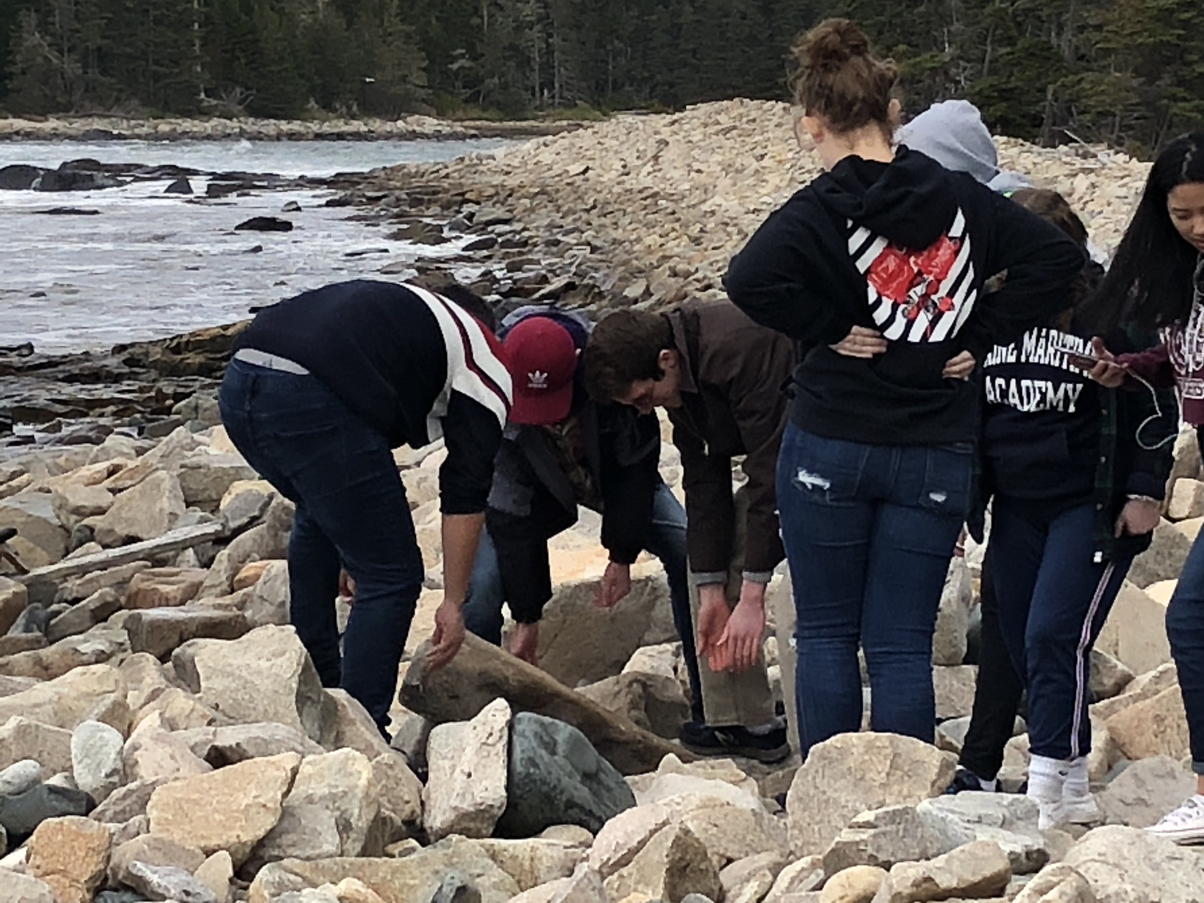 Students looking at rocks on the beach