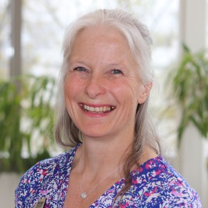 Becky Hallowell, Lincoln