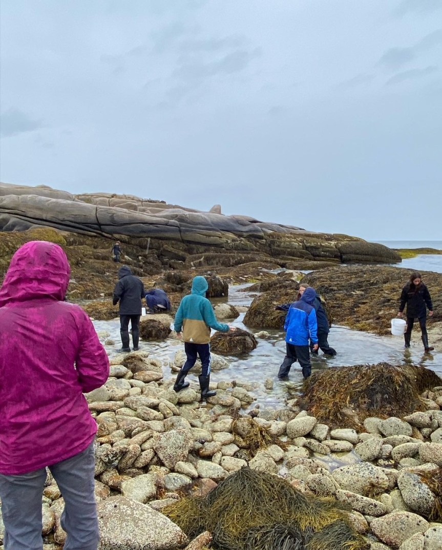 Students in tide pool