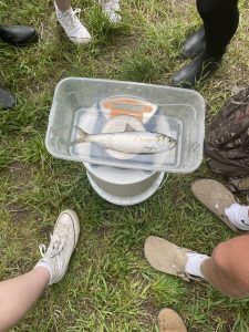 Gardiner Area High School Students Outdoor Learning