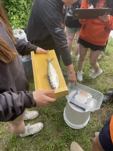 Gardiner Area High School Students Outdoor Learning
