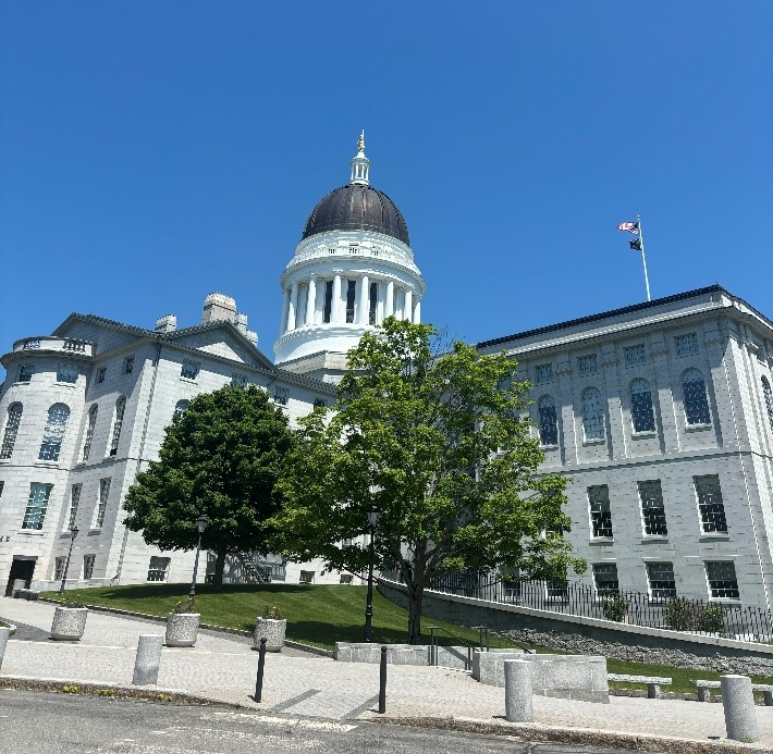 Maine DOE Introduces 7 Interns this&nbsp;Summer