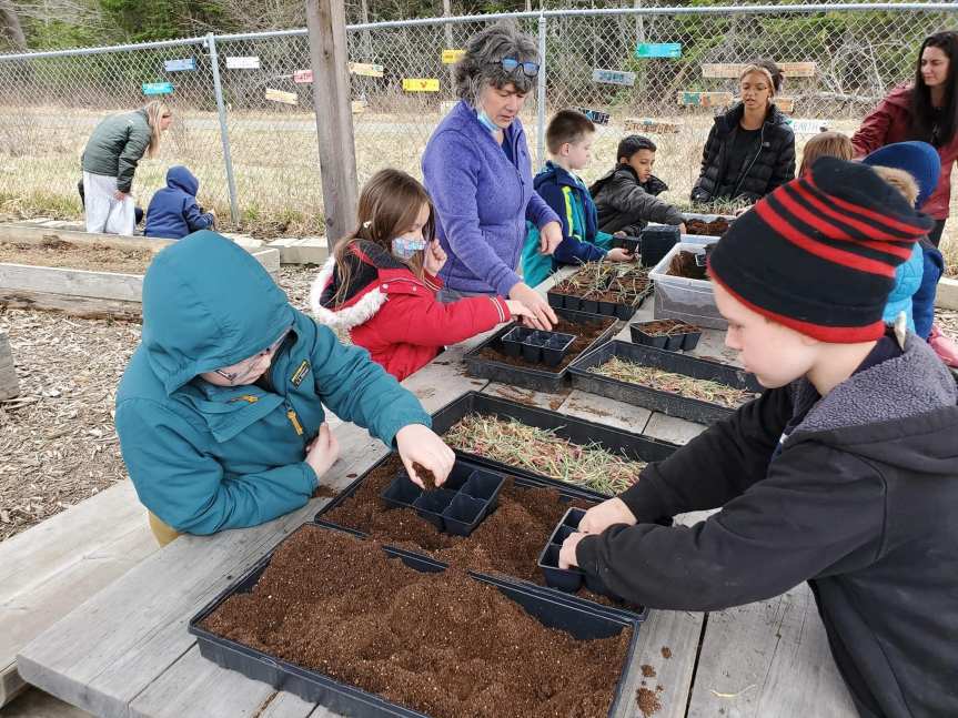 students planting