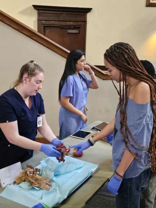 Portland High School Student dissecting a pig heart as part of an internship opportunity.
