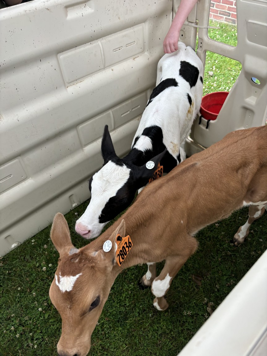 Media Release: Students and Families in Dover-Foxcroft Kick Off Hot Lunch Summer with New SUN Bucks&nbsp;Program