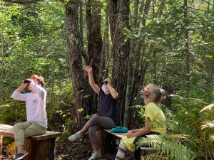 students use binoculars to look at the trees