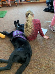 Flint laying with head on student lap
