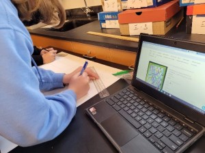 Student designs a Chutes and Ladders’ theme