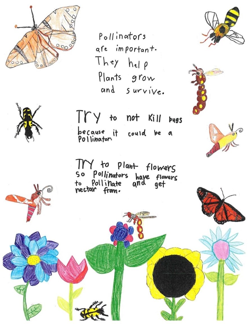 Pollinators are important. They help plants grown and survive. Try not to kill bees because it could be a pollinator. Try to plan flowers do pollinators have flowers to pollinate and get nectar from.