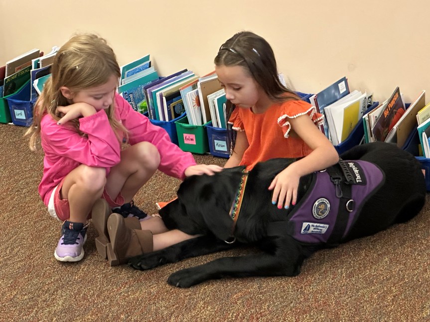 Flint laying with head on student lap