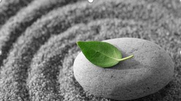 Rock with a leaf on it