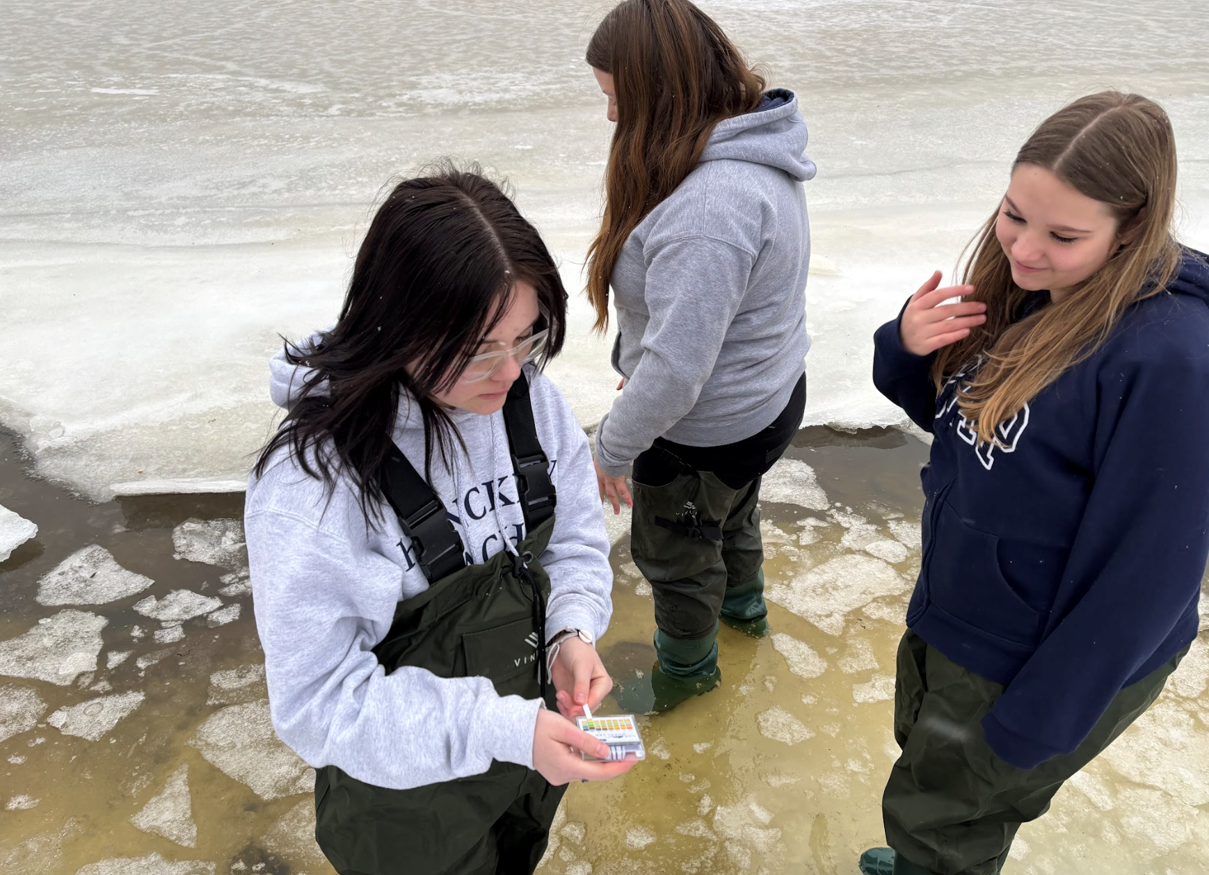 Students working outdoors