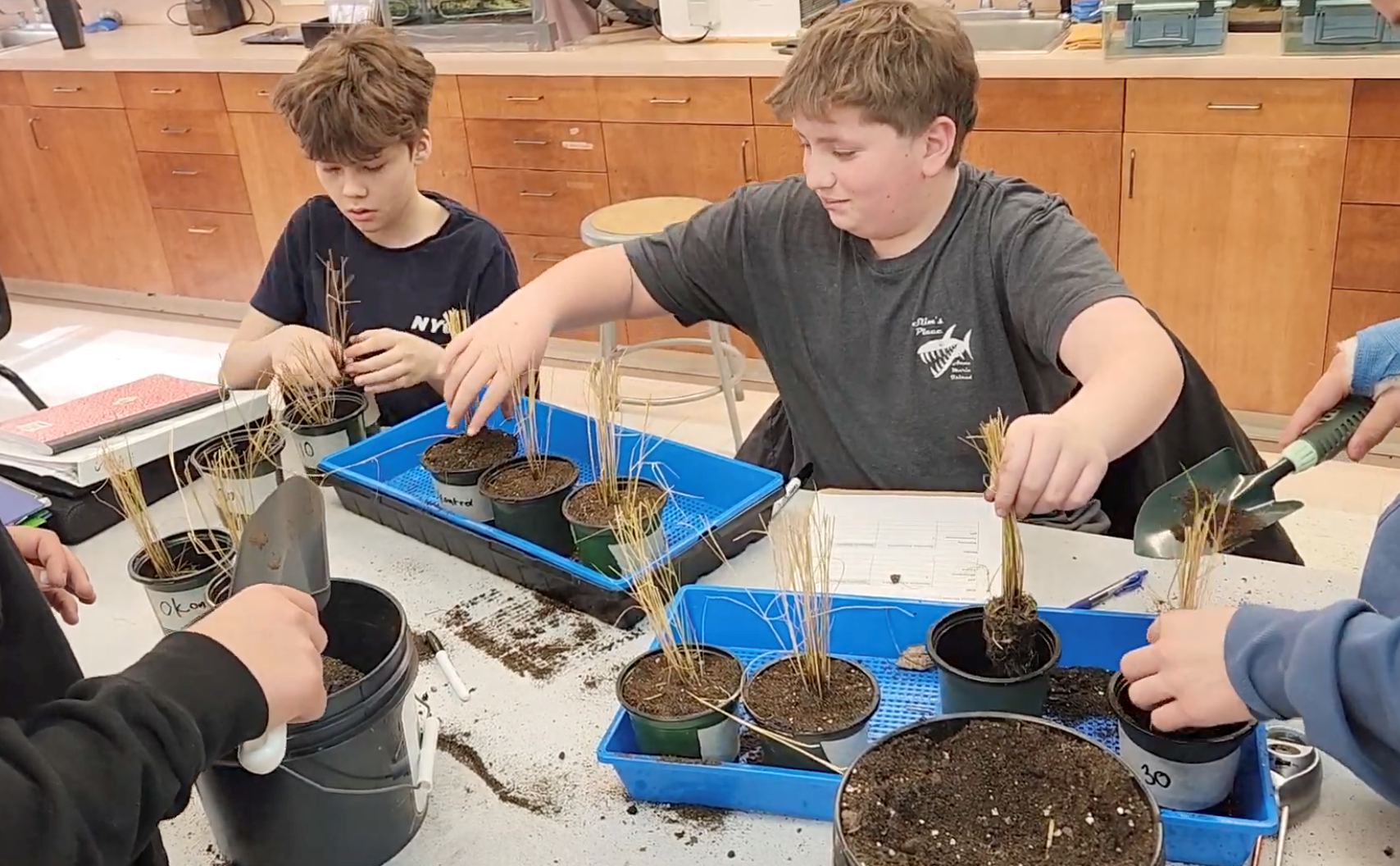 students working with plants in a classroom