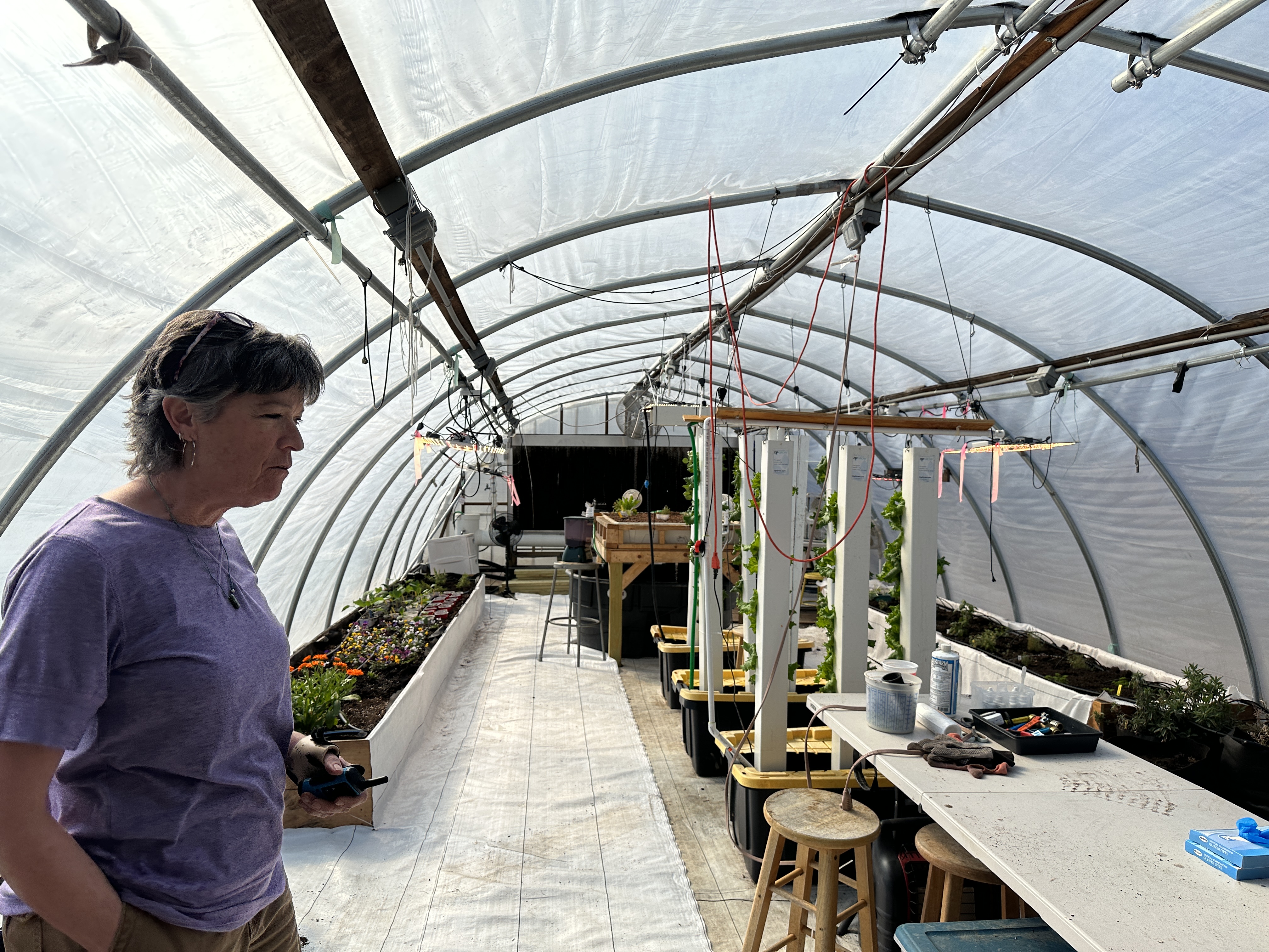 Wallace out in the greenhouse.