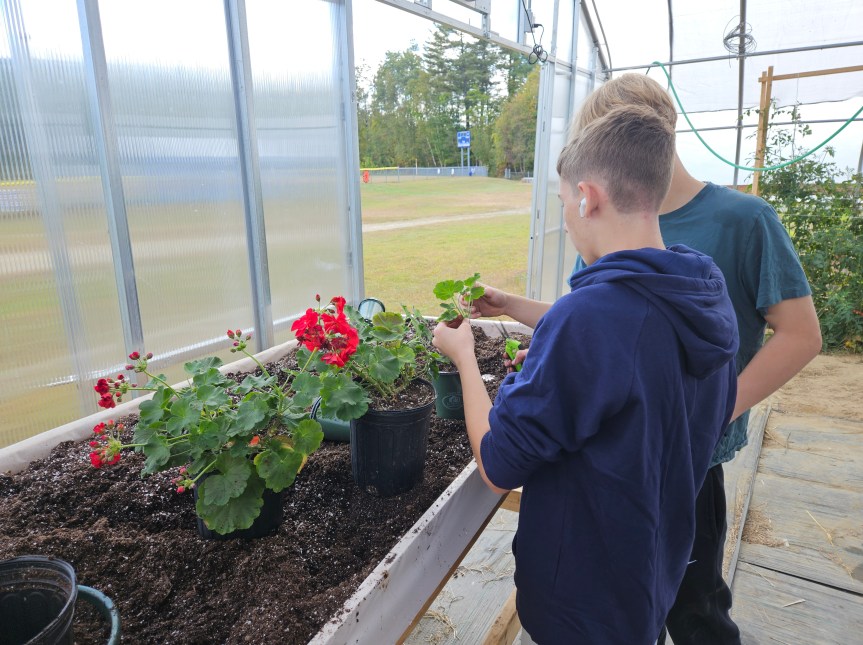 Upper Kennebec Valley Students Cultivate Life Skills in the&nbsp;Greenhouse