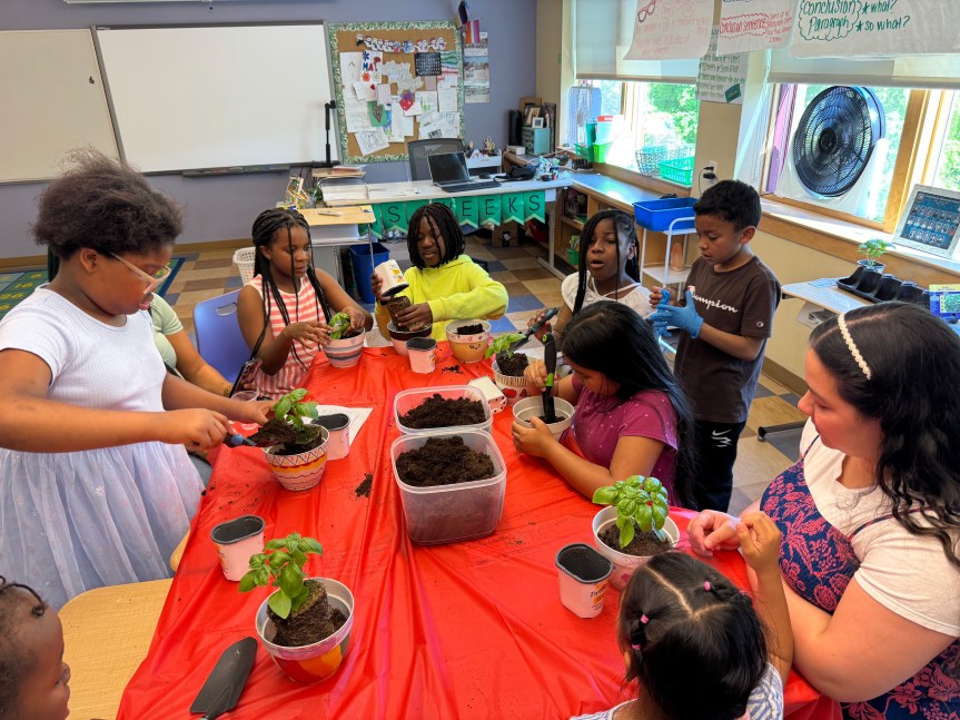 Ocean Avenue’s LearningWorks AfterSchool Students Celebrate a Year of Growth – In and Out of the&nbsp;Garden