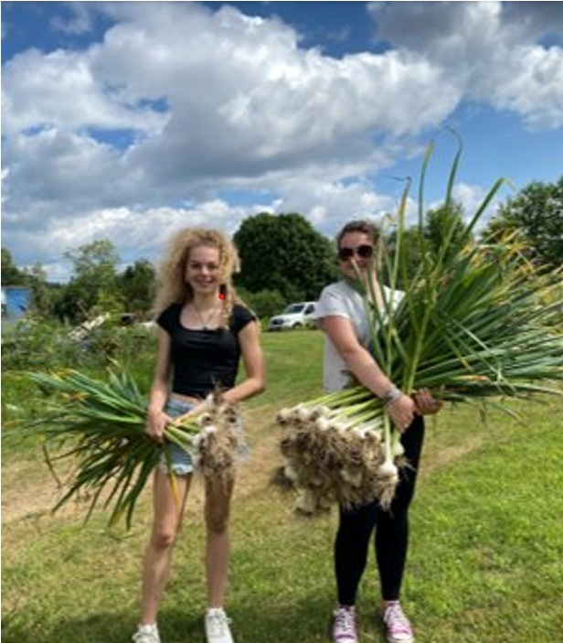 Washington County youth growing crops