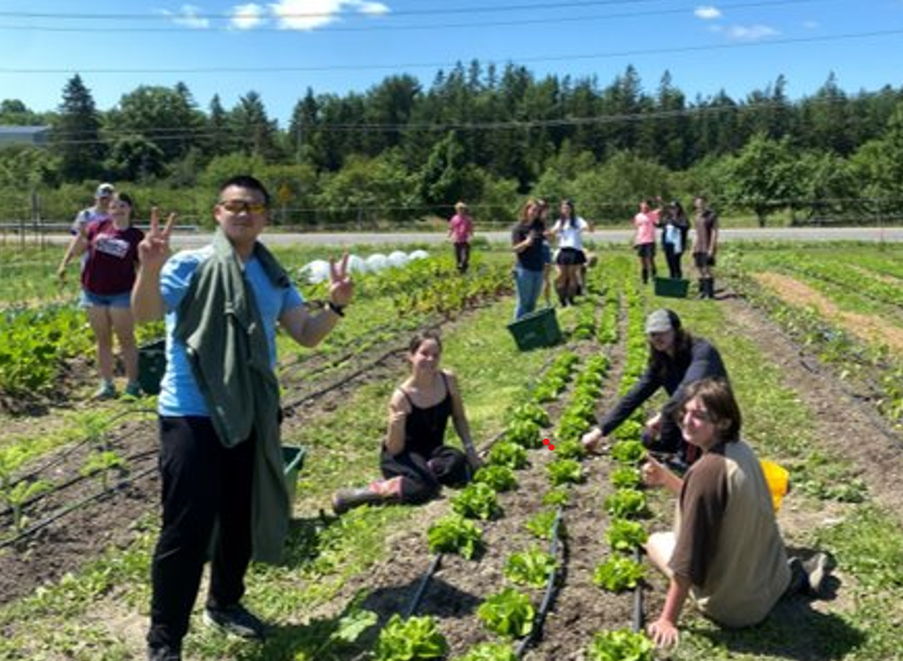 Youth in Washington County learn how to grow crops