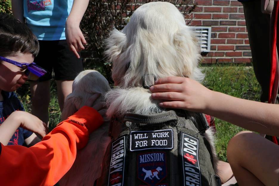 Second-Grade Students at Elm Street School Connect with Their Community Through Special Partnership with Mission Working Dogs