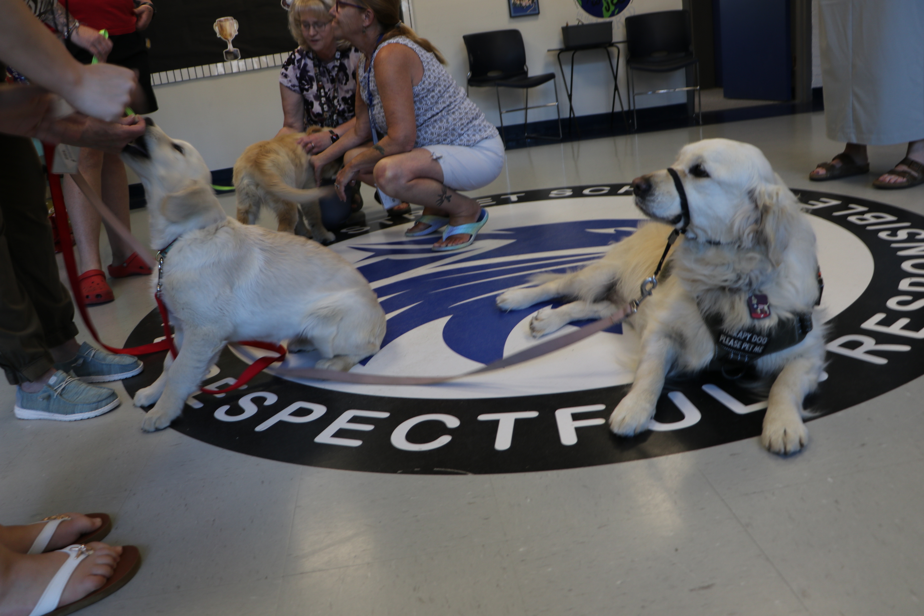 Therapy dogs visit with Elm Street School staff.