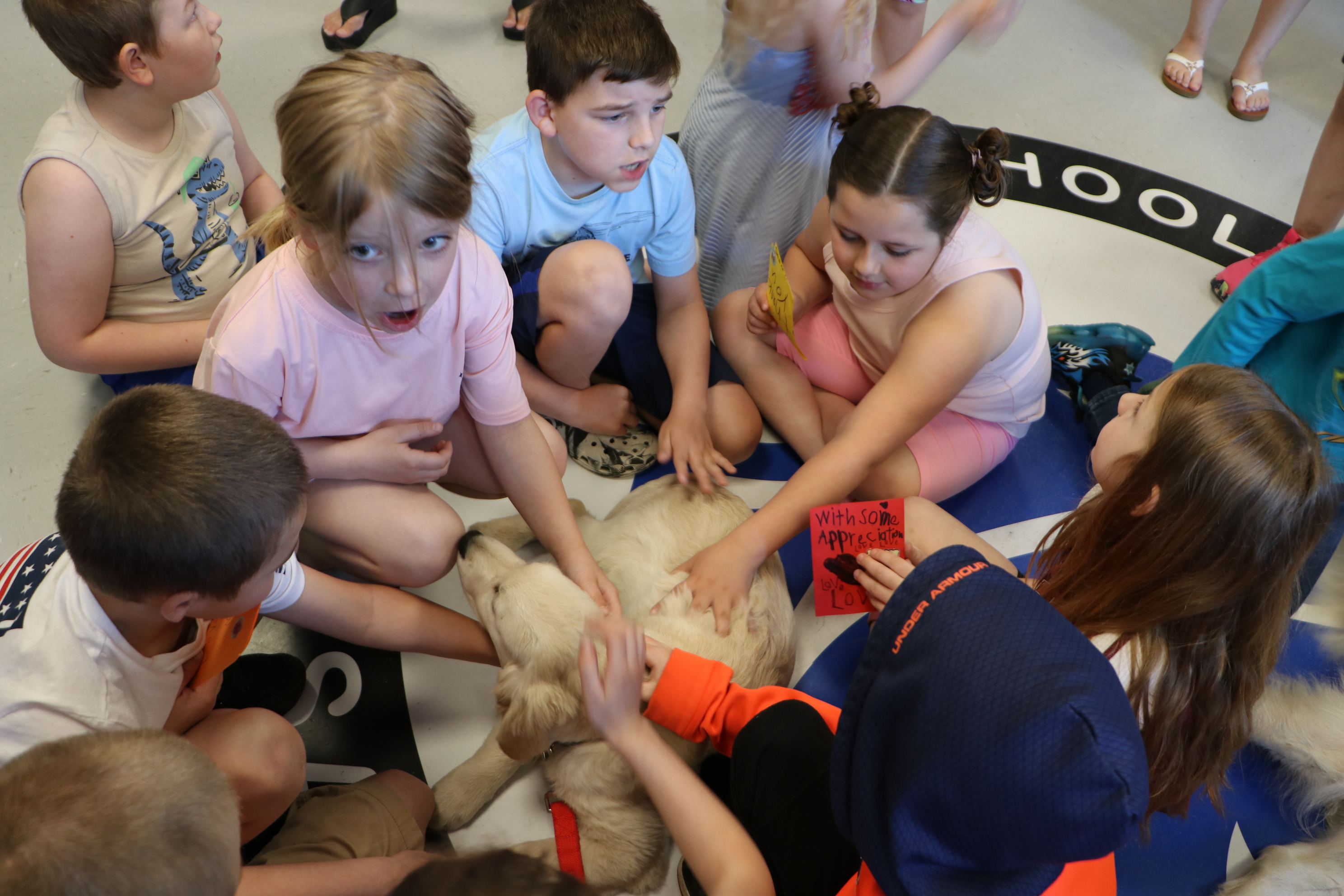 The student spend time with a puppy that is in training to be a therapy dog.