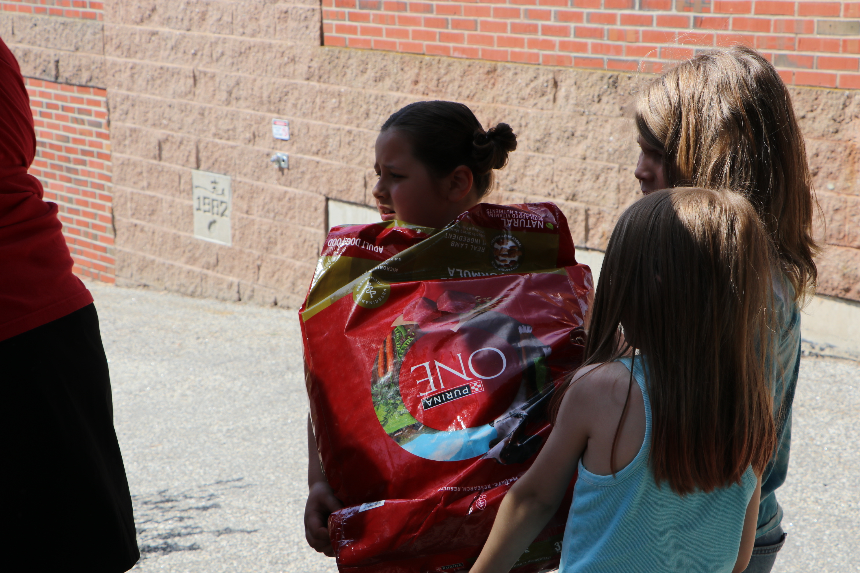 Elm Street School students help load bags of dog food into a vehicle.