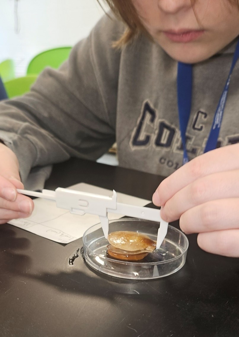 During their aquaculture adventure at the Downeast Institute in Beals, students discovered the science behind growing oysters, clams, etc., and toured the Institute's shellfish production labs, dipping their hands in the lab's touch tank. 