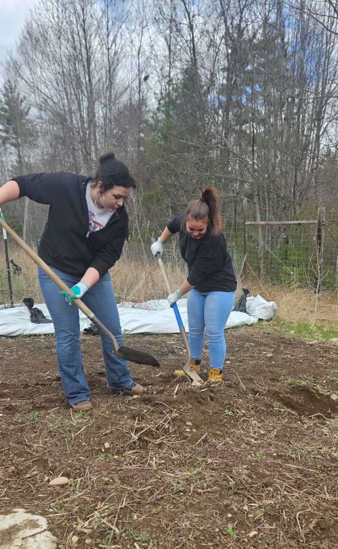 Students dug their hands in the soil as they explored agriculture in Maine at Avalon Acres, a MOFGA certified organic farm in Hollis. Before this soil-filled adventure, they learned the art of indoor gardening from an RSU 14 STEM teacher, touring the Katahdin program’s hydroponic garden that grows lettuce and spinach for the Windham High School cafeteria. 