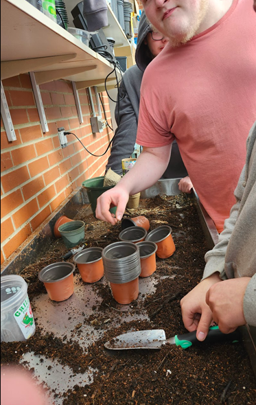 Freshmen ALP students nurture both plants and knowledge as they learn about plant growth and care for the greenhouse, an important component of the ALP experience.