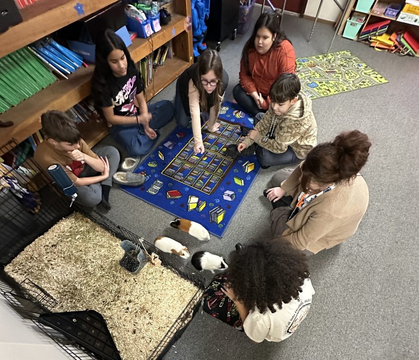 Students help care for three class guinea pigs—Callie, Nalla, and Tillie—learning responsibility, empathy, and compassion through daily interactions.