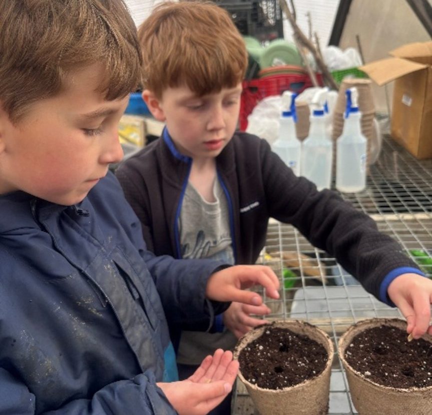 Students working with soil